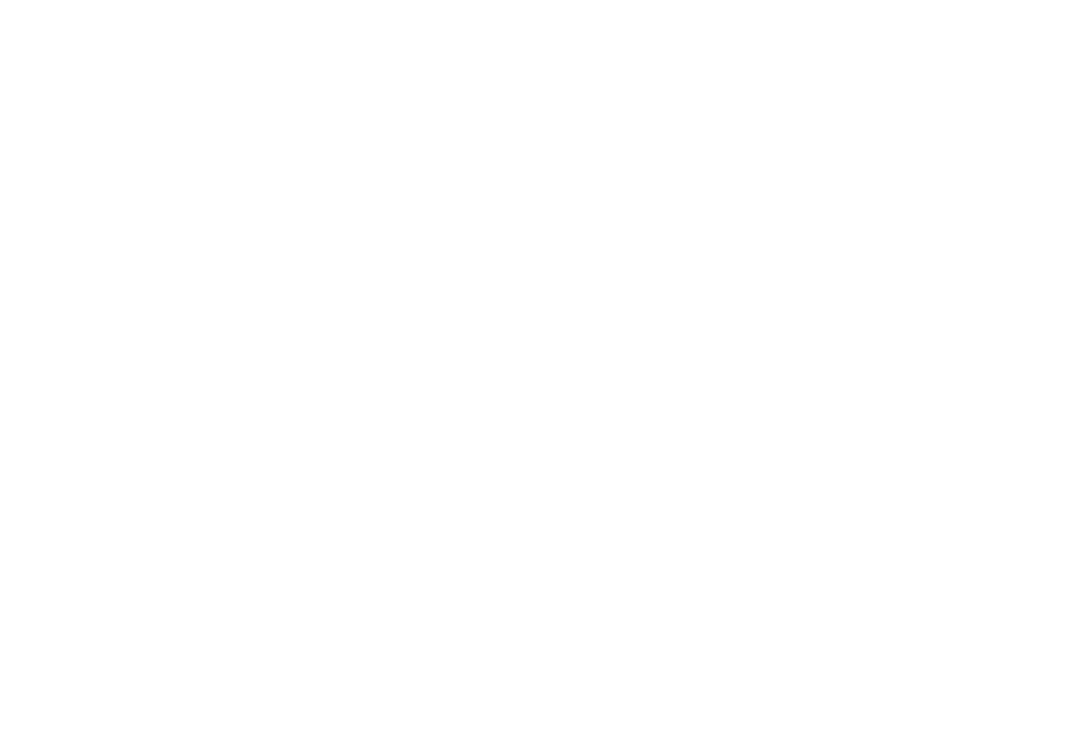 Wir. Vermögen. Mehr.